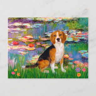 Beagle 7 - Lilies 2 Vykort