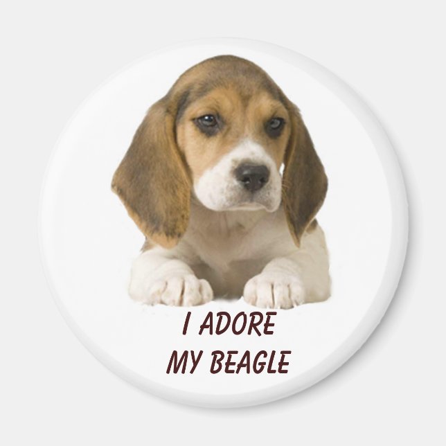 Beagle Adore Magnet (Framsidan)