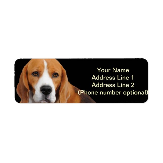 Beagle Adress Sticker Returadress Etikett (Framsidan)
