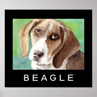 Beagle Affischer