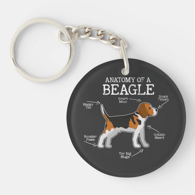 Beagle Älskare/ anatomi av en beagle (Framsidan)