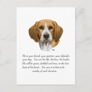 Beagle-älskling HANE Vykort