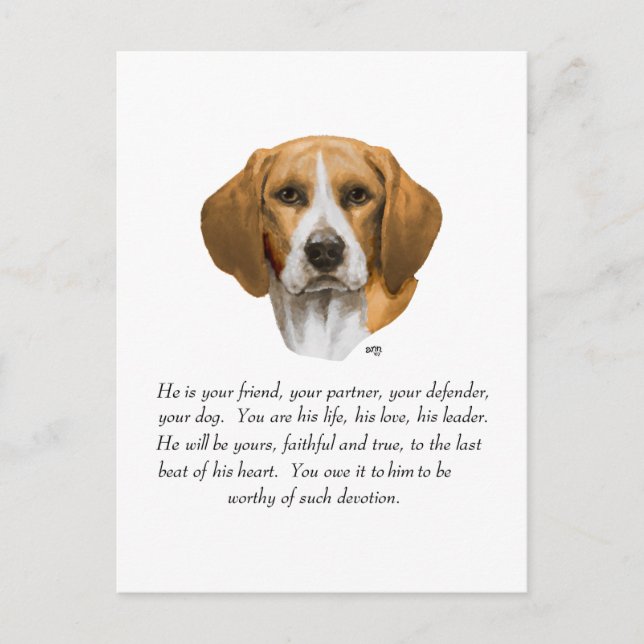 Beagle-älskling HANE Vykort (Framsida)