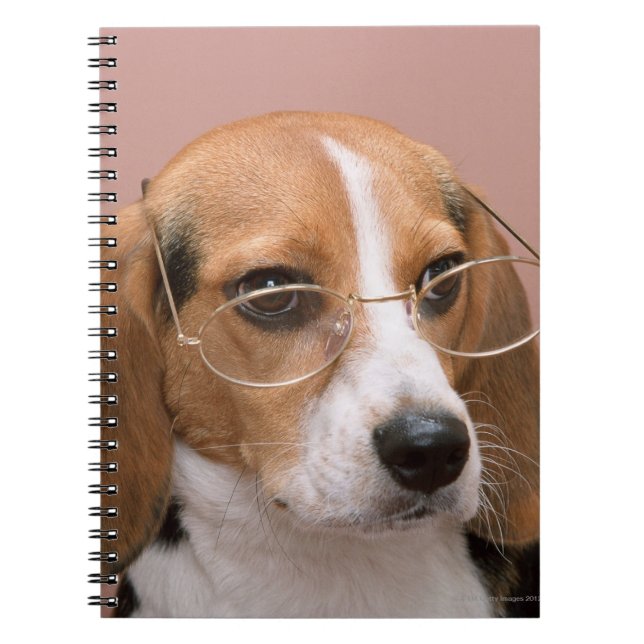 Beagle Anteckningsbok (Framsidan)