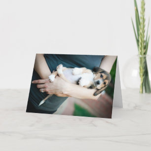 Beagle Babe in Arm Kort