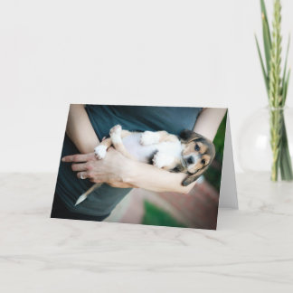 Beagle Babe in Arm Kort