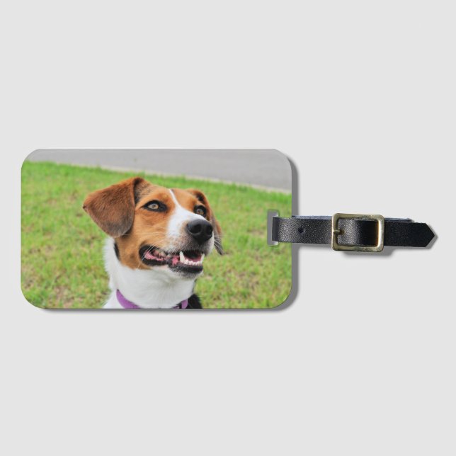 Beagle Bagagebricka (Framsida horisontal)