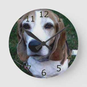 Beagle Basset Hund Rund Klocka