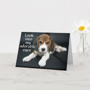 BEAGLE BEGER "HA ETT GRATTIS PÅ FÖDELSEDAGEN"-KORT KORT