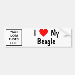 Beagle Bildekal