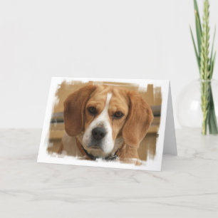 Beagle Bilder-hälsningskort Kort