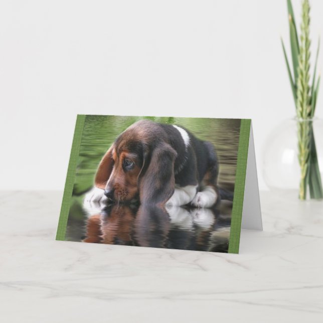 Beagle Birthday Card Kort (Framsida)