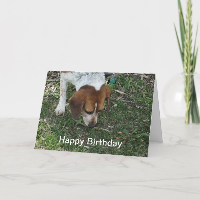 Beagle Birthday Card Kort (Framsida)
