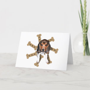 Beagle Birthday Card Kort