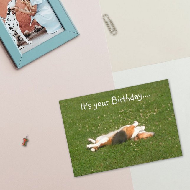 Beagle Birthday Card (roligt) Kort (Skapare uppladdad)