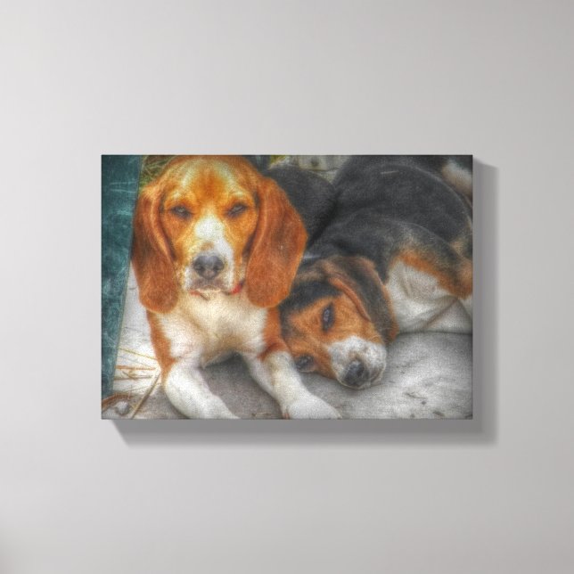 Beagle Brothers Canvastryck (Framsida)