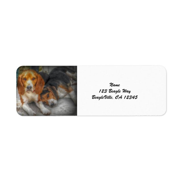 Beagle Brothers Returadress Etikett (Framsidan)