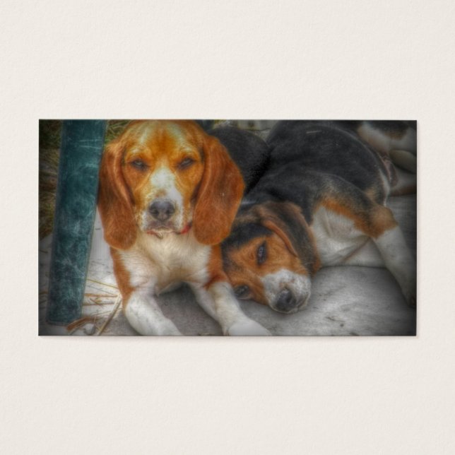 Beagle Brothers Visitkort (Framsidan)