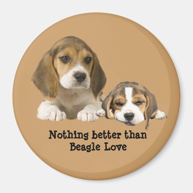 Beagle Buddies Magnet (Framsidan)