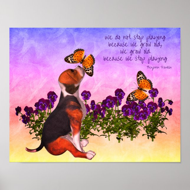 Beagle Butterflies Flowers Inspirational Age Citat Poster (Framsidan)