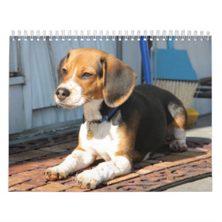 Beagle Calander Kalender