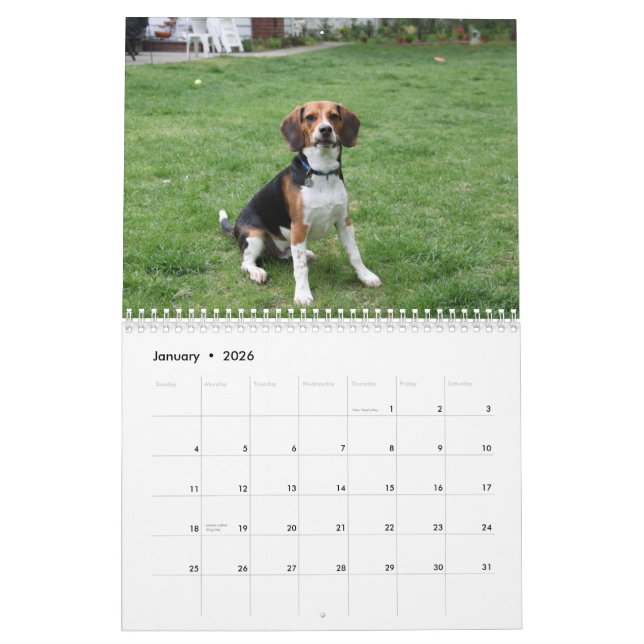 Beagle Calander Kalender (Jan 2026)