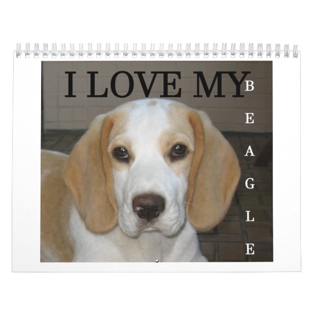 Beagle Calender Kalender (Omslag)