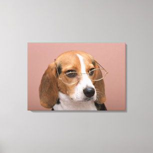Beagle Canvastryck