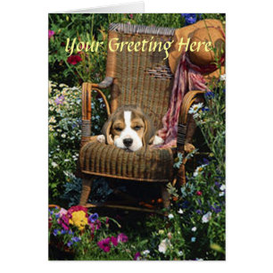Beagle Card in Garden-stol Hälsningskort
