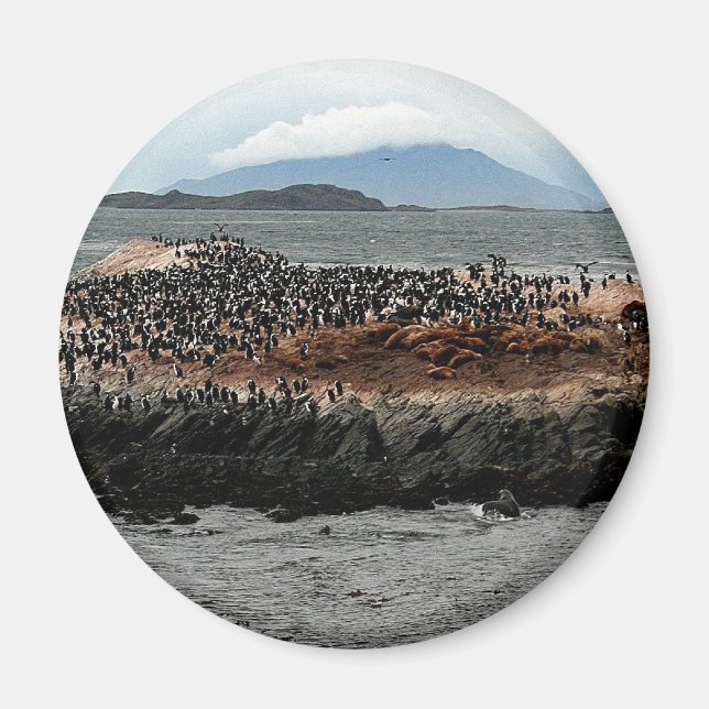 Beagle Channel Magnet (Framsidan)