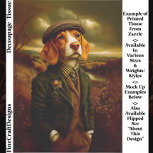 Beagle Country Gentleman Landskap EX9R Decoupage