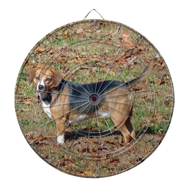 Beagle Darttavla (Framsidan)