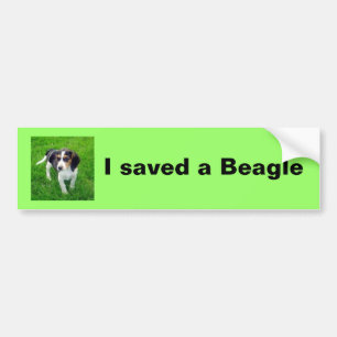 Beagle-dekal Bildekal