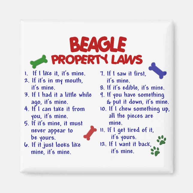 BEAGLE EGENDOM LAGSTIFTNING 2 MAGNET (Framsidan)