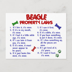 BEAGLE EGENDOM LAGSTIFTNING 2 VYKORT