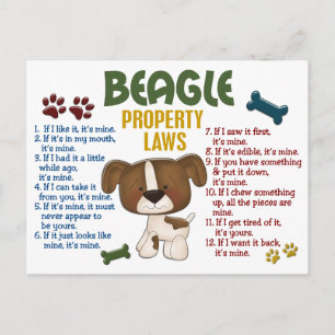 Beagle Egendom Laws 4 Vykort