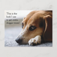 Beagle "Extra hundgodis" vykort