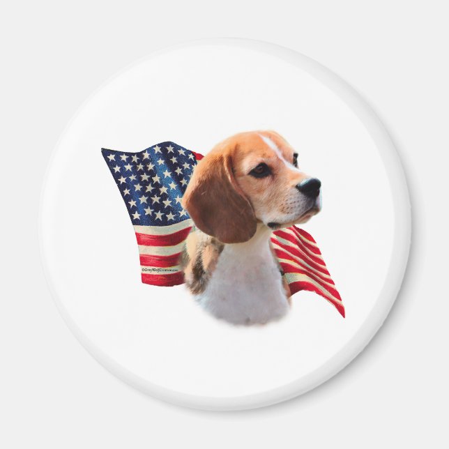 Beagle Flagga Magnet (Framsidan)