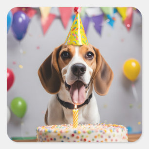 Beagle Födelsedagsfest Fyrkantigt Klistermärke