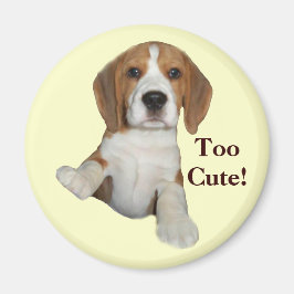 Beagle för Cute Magnet