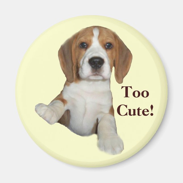 Beagle för Cute Magnet (Framsidan)