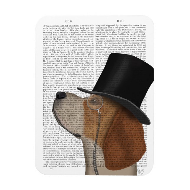 Beagle, Formal Hound och Hat Magnet (Vertikal)
