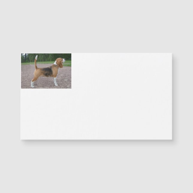 beagle fullt 2.png (Framsida)