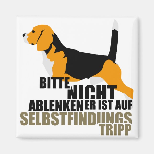Beagle Geschenke Magnet (Framsidan)
