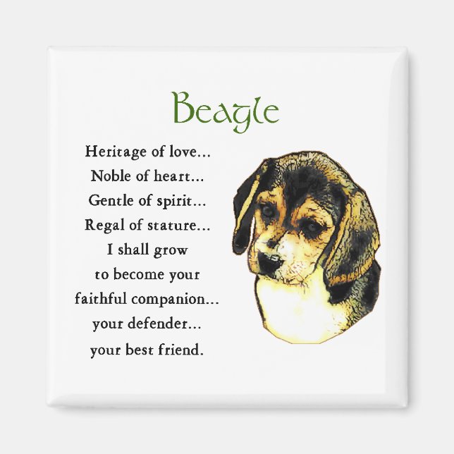 Beagle Gifts Magnet (Framsidan)