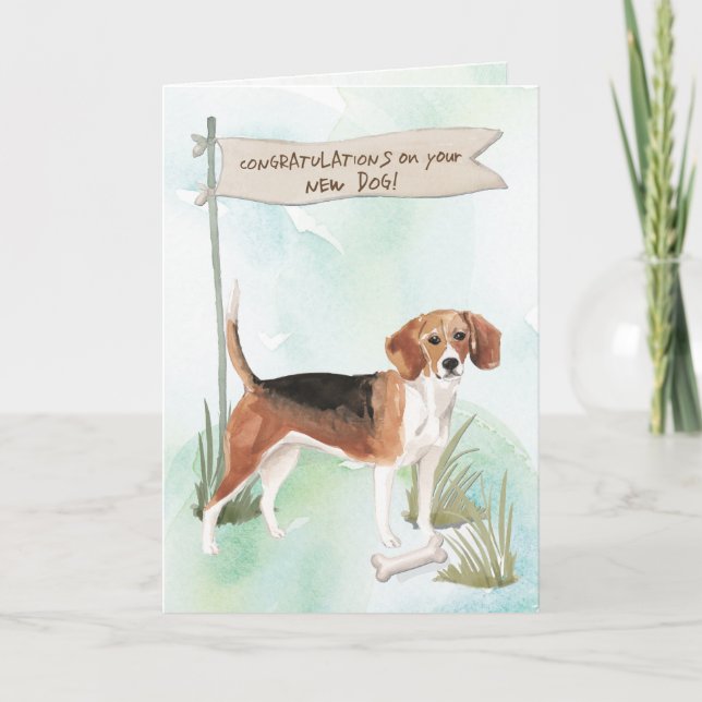 Beagle-Grattisar på ny Hund Kort (Framsida)