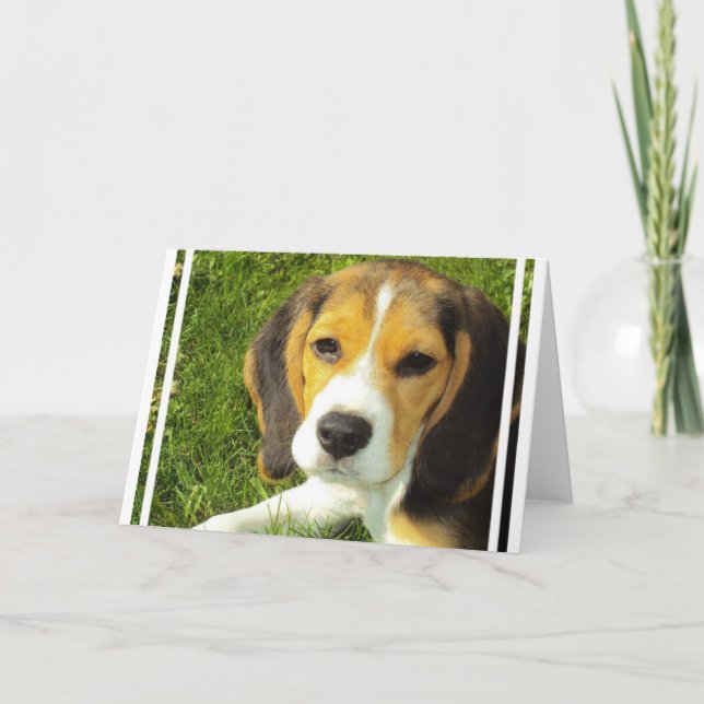 Beagle Greeting Cards Kort (Framsida)
