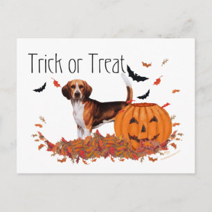 Beagle Halloween Vykort