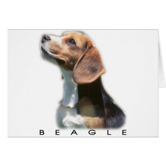Beagle Hälsningskort