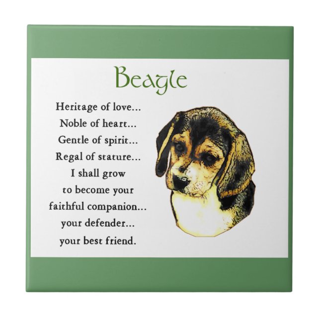 Beagle Heritage of Kärlek Kakelplatta (Framsidan)